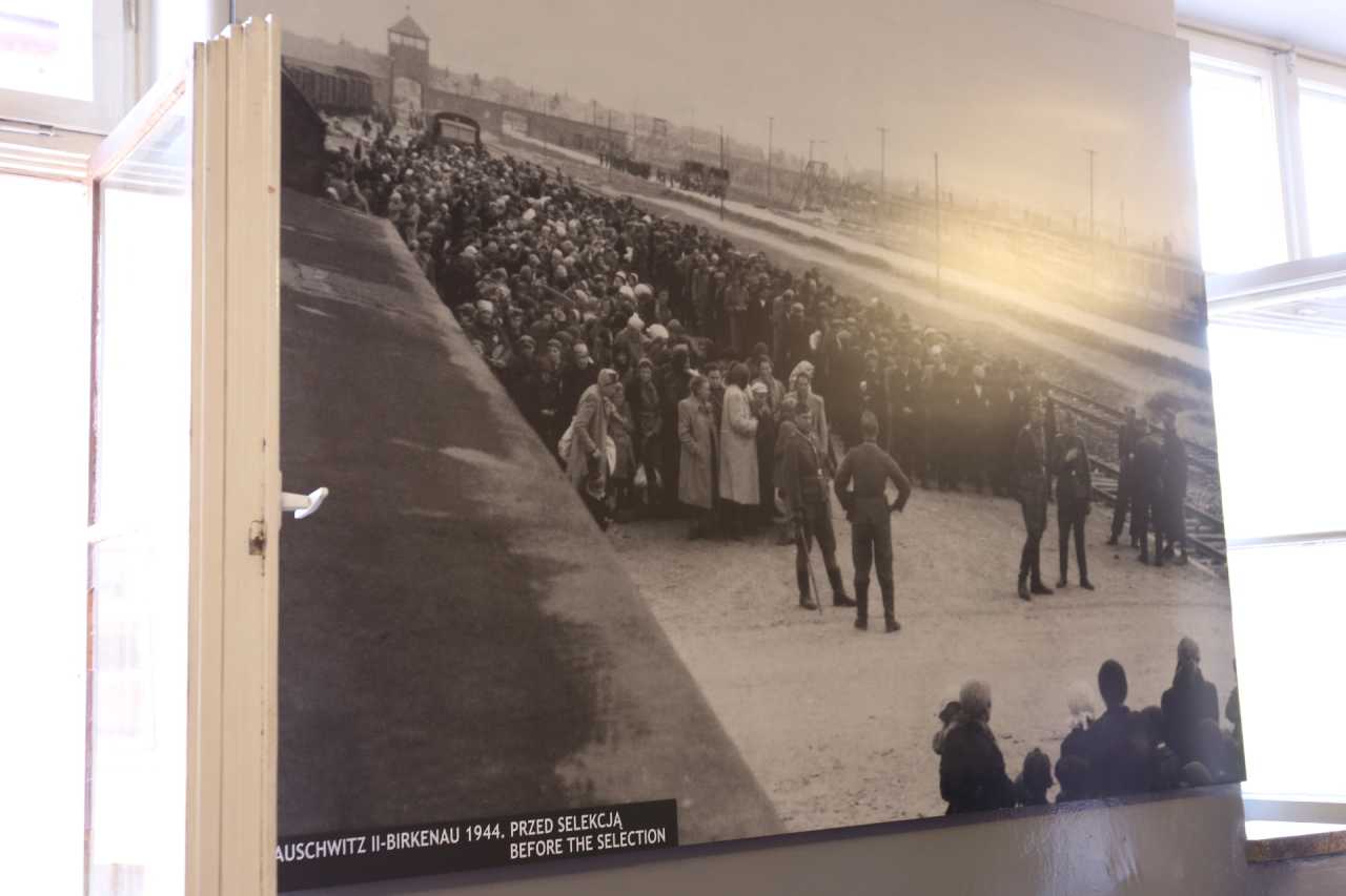 PG电子线上登入-包含波兰对抗丹麦，塔林等你来观赏的词条