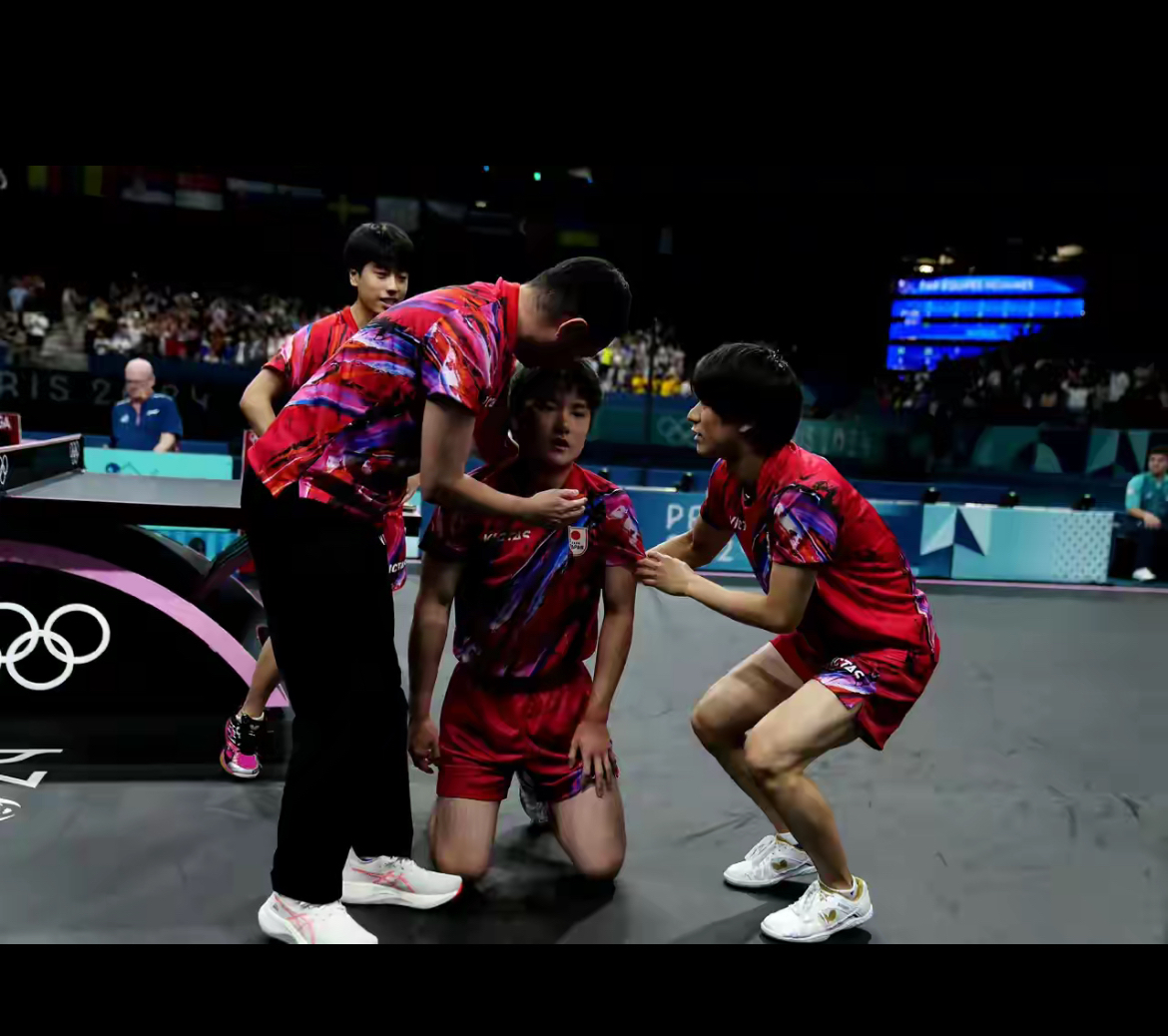 PG游戏下载-关于波兰队鏖战韩国队，张本智和高光表现的信息